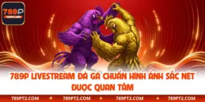 789P Livestream Đá Gà Chuẩn Hình Ảnh Sắc Nét Được Quan Tâm