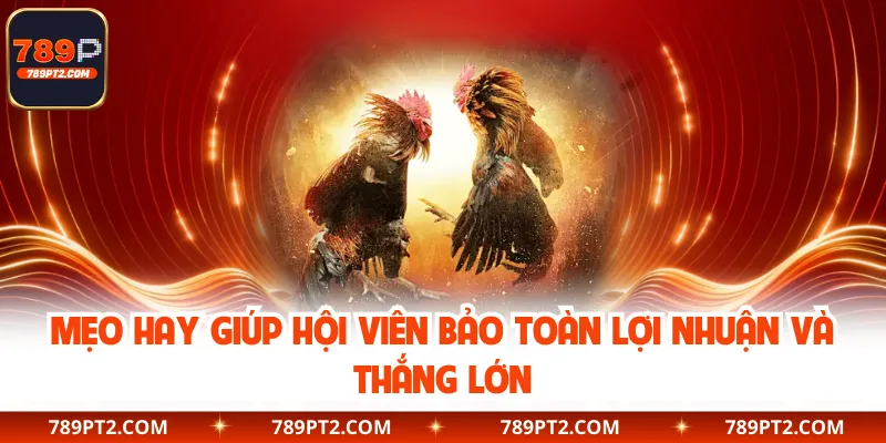 Mẹo hay giúp hội viên bảo toàn lợi nhuận và thắng lớn