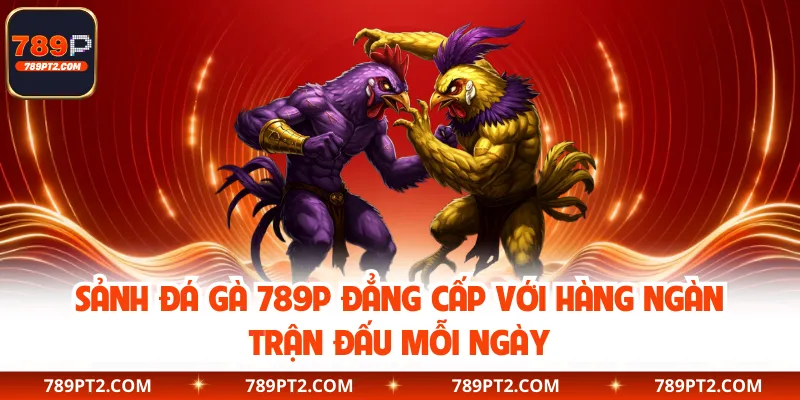Sảnh đá gà 789P đẳng cấp với hàng ngàn trận đấu mỗi ngày